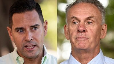 Independent MP Alex Greenwich to sue One Nation's Mark Latham for defamation over tweet