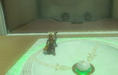 'Zelda Tears of the Kingdom' Orochium Shrine: How to Solve This Tricky Puzzle