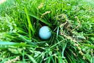 2023 PGA Championship Thick High Rough At Oak Hill 