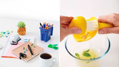 The wackiest, most genius things for your home on Amazon you never knew existed