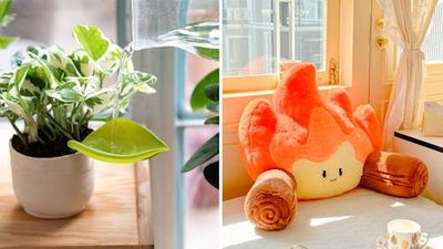 The 65 kookiest, most genius things you never knew existed