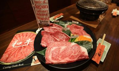 Wagyu beef and sea urchin: what’s on the menu when the G7 meets in Japan