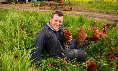 Why are eggs so expensive? Here’s what a farmer and 14,000 hens told me