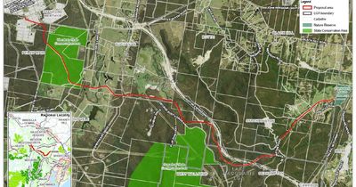 Next section of major rail cycleway receives approval