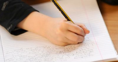 Three toughest questions from SATs paper that left children in tears