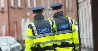 Gardaí investigating claims an alleged spree killer has come to Ireland – to claim asylum