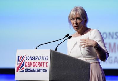 Ex-minister Nadine Dorries admits Tories are repellent