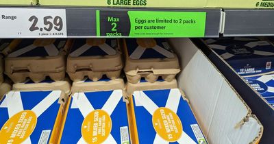 Supermarket shoppers warned egg shortage could last another year