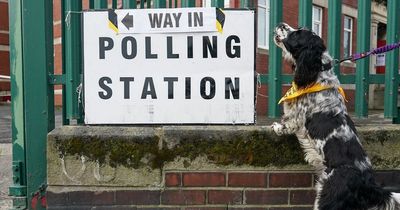 NI Election: Dog owners warned to leave pets at home while voting