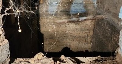 Woman's horror after finding hidden room filled with 'sinister photos' in house