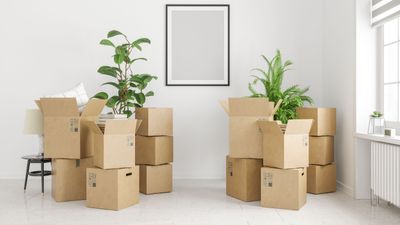 Apartment moving tips to make the process less stressful