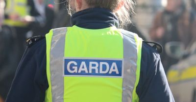 Cork man jailed for dragging Garda 80ft from car door as her life flashed before her eyes