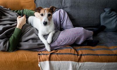 Renters in England: how will the pet proposals in the Renters Reform Bill affect you?