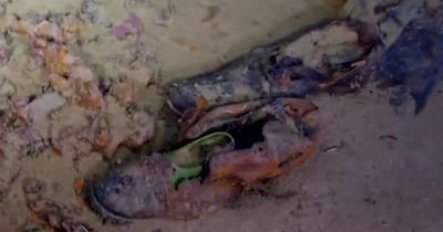 Haunting 3D images from Titanic wreck show shoes and champagne bottles