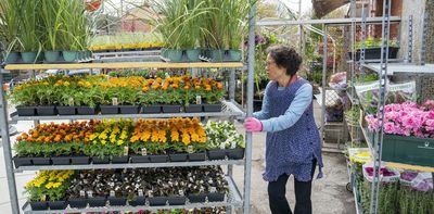 Decolonize your garden: This long weekend, dig into the complicated roots of gardening — Listen