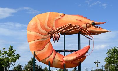 ‘Best prawn season since the 70s’: 10 recipes to make the most of Australia’s low prices