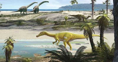 Terrifying monster dino the size of a school bus dug up