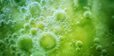 Did life evolve more than once? Researchers are closing in on an answer