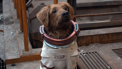 Why Did Cosmo The Spacedog Get Gender-Swapped From The Comics? James Gunn Has A Thoughtful Answer