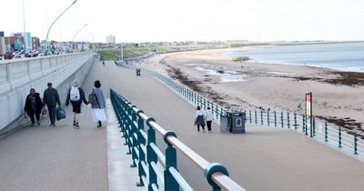 Dog restrictions on beaches and public area to be reviewed by North Tyneside Council