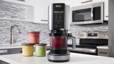 Ninja Creami Review: is the TikTok trend up to the fanfare?