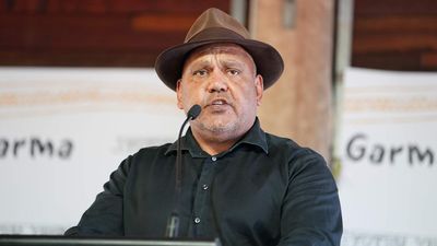 Noel Pearson swipes Mick Gooda after expressing fears Voice to Parliament losing popular support