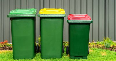 New bins tackle green waste in the Hunter