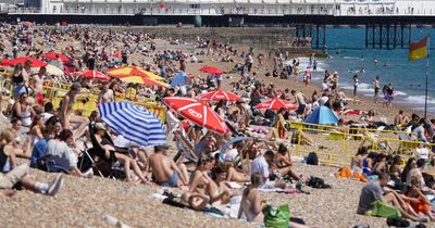 Sweltering 35C 'African plume' heatwave set to hit parts of the UK in just DAYS