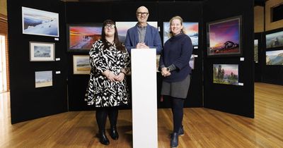 Students and artists shine side-by-side at Radford College art show