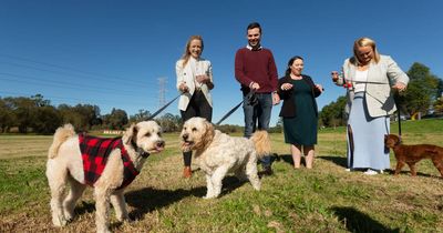 Work starts on Newcastle's newest off-leash dog park