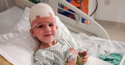 Boy, 6, scalped in vicious dog attack by Staffie who family bought for £200 off Facebook