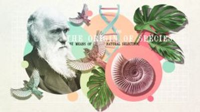 Evolution explained in 60 seconds: ideas that changed the world