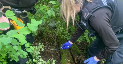 Knives 'secreted' in undergrowth at Nottingham park