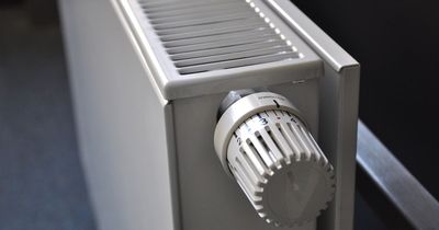 Experts warn about the radiator job you should do during summer