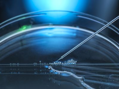 Facing cancer? Here's when to consider experimental therapies, and when not to