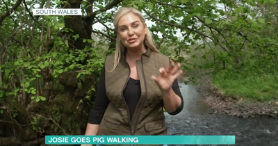 This Morning's Josie Gibson on 'cloud nine' after walking with pigs in Bannau Brycheiniog