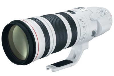 Canon RF 200-500mm f/4L IS USM "confirmed" for later this year