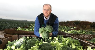 East of Scotland Growers merges with R&K Drysdales