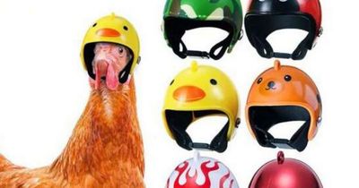 Shein shoppers in hysterics over range of mini helmets for chickens