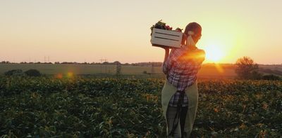 Food prices are rising but farmers' profits are still small – here's why