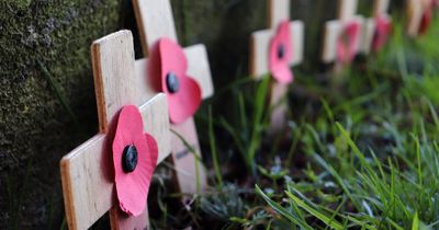 War heroes' stories are brought to life by new app guiding cemetery visitors