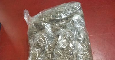 Revenue seize cannabis worth €316,000 in Dublin