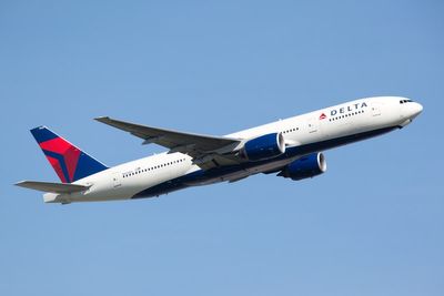 Woman claims Delta plane refused to land as she went into anaphylactic shock