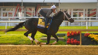 Major Preakness Contender Scratched Just 36 Hours Before Race Due to Injury
