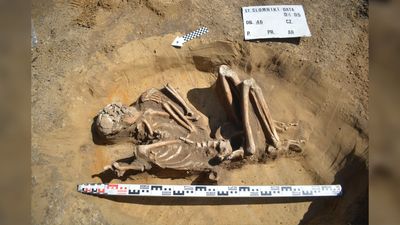 Perfectly preserved 7,000-year-old skeleton unearthed during renovation in Poland