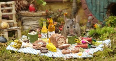 Man makes cute Hobbit-style houses for wild mice and treats them to a picnic