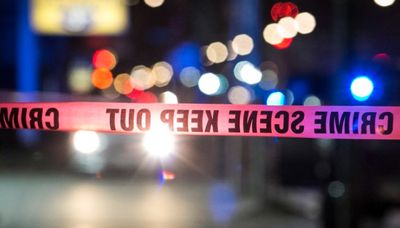Boy, 17, fatally shot in Fuller Park