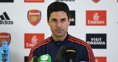 Mikel Arteta follows up Arsenal's new dog by bringing olive tree into team meetings