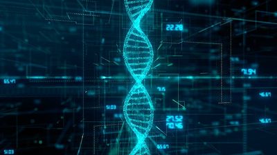 Quantum Physics Could Explain Nearly All the Mysteries of How Life Works
