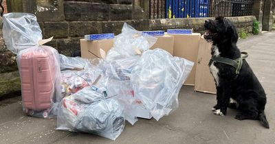 Glasgow sniffer dog uncovers 50,000 illegal cigarettes during Govanhill shop search